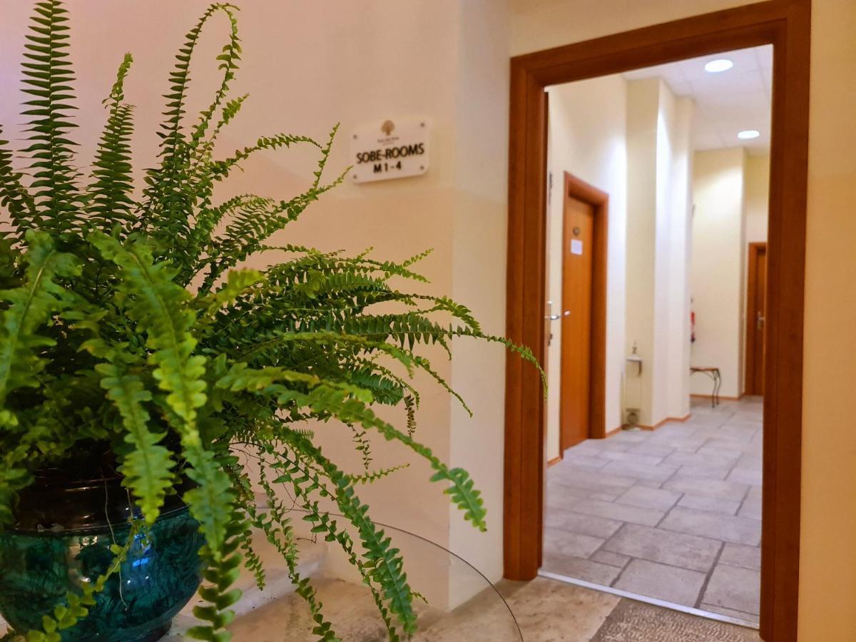 Guest House Stara Sola Korte Exterior foto